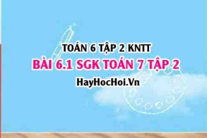 Bài 6.1 SGK Toán 7 tập 2 Kết nối tri thức